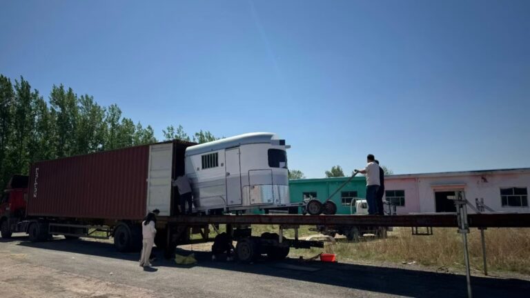 Custom 2 Horse Trailer Delivered to Thailand for Veterinary Use