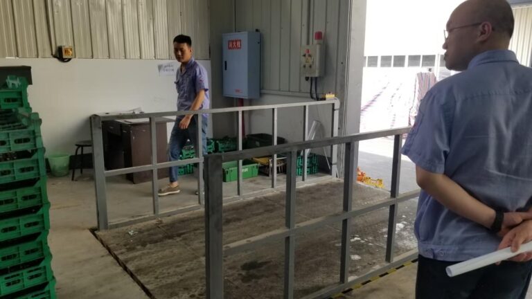 Custom Dock Lift Case – Shenzhen, China (July 18, 2025)